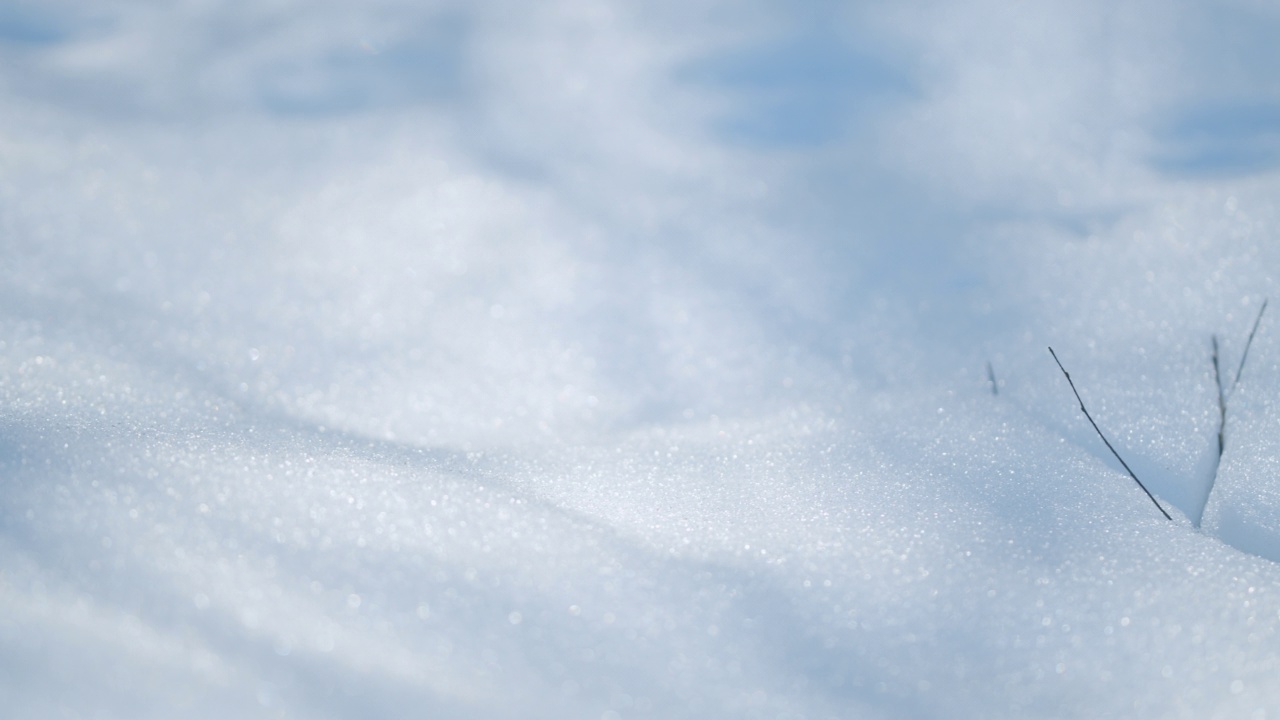 白雪皑皑的地面上，阳光透过树木照射进来。平底锅。视频素材