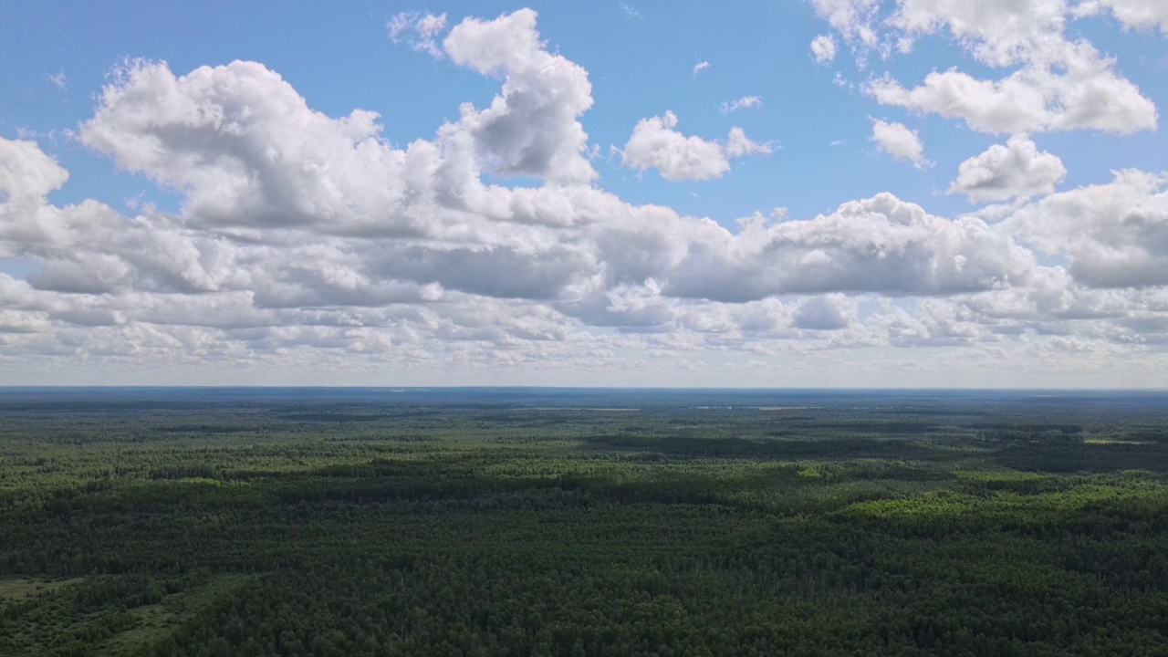 蓝天的全景，云在绿色的树的顶部。蓝天白云柔和。白云的背景。视频下载