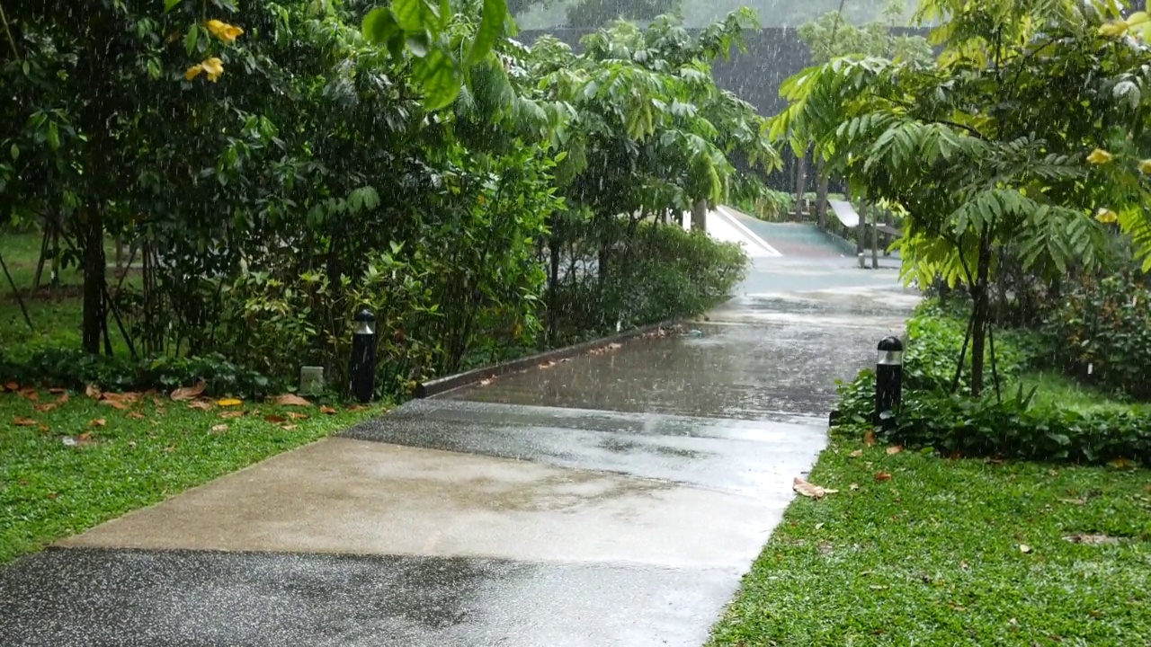 新加坡一个空公园的雨天视频素材