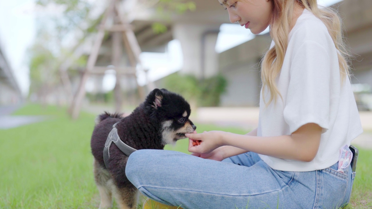 快乐的年轻亚洲女人玩和坐在草地上的公园和她的狗。宠物情人的概念视频素材