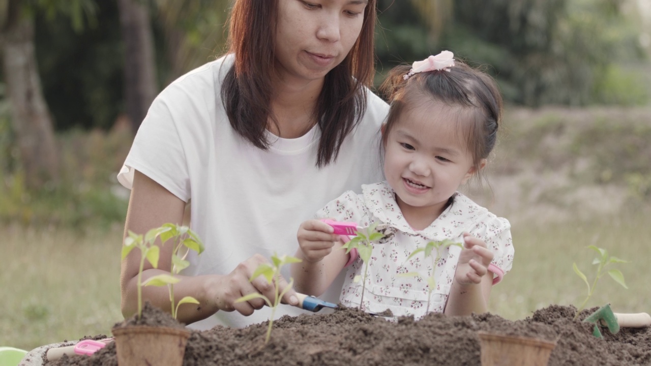 亚洲小女孩和父母用铲子种植幼苗视频素材