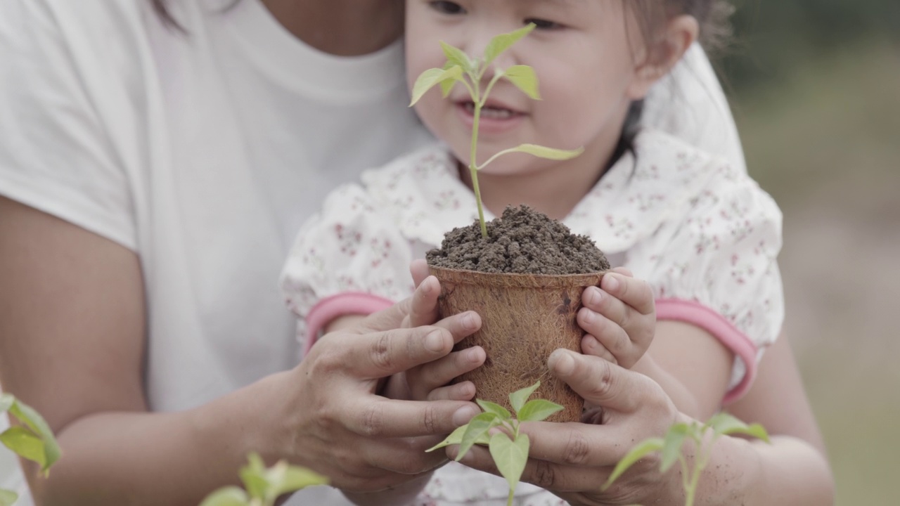 亚洲小女孩和父母种植幼苗到土壤视频素材