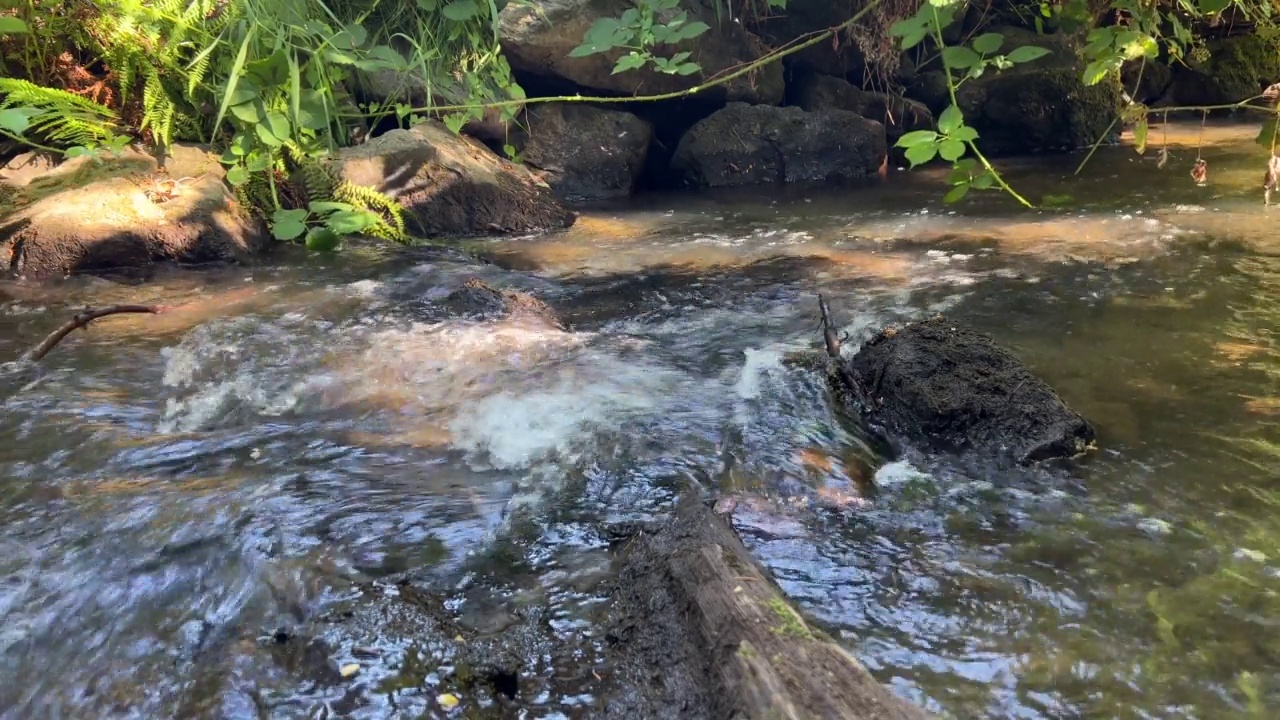 水顺着小溪流视频素材