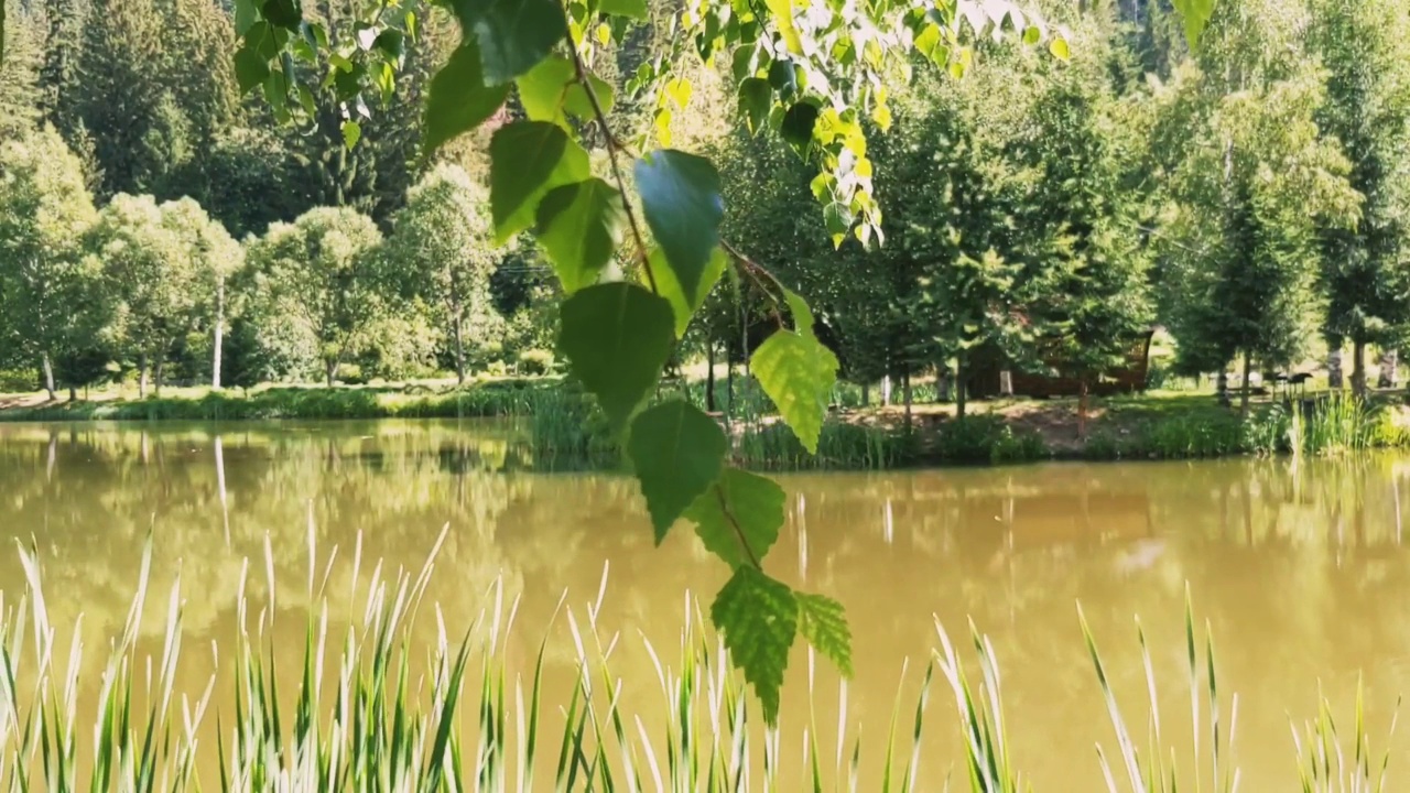 夏天的风景视频素材