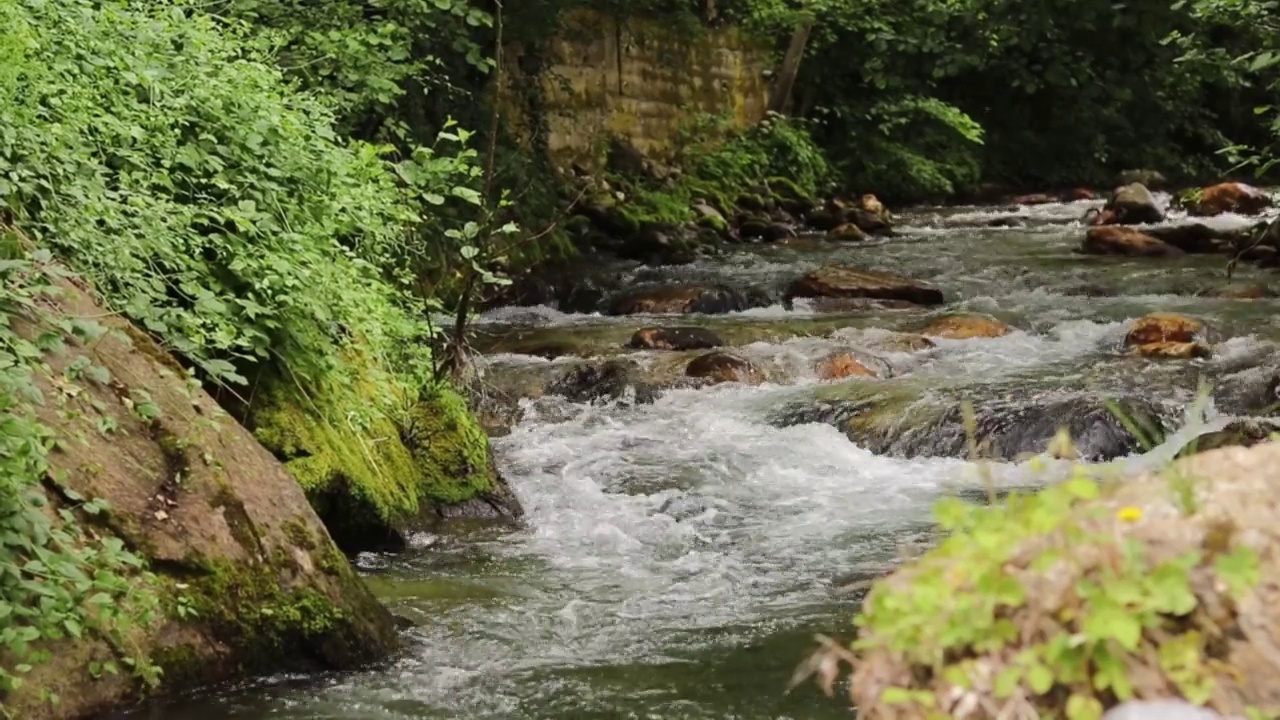 河流在森林中流淌，新鲜干净的水流过岩石和绿树视频素材