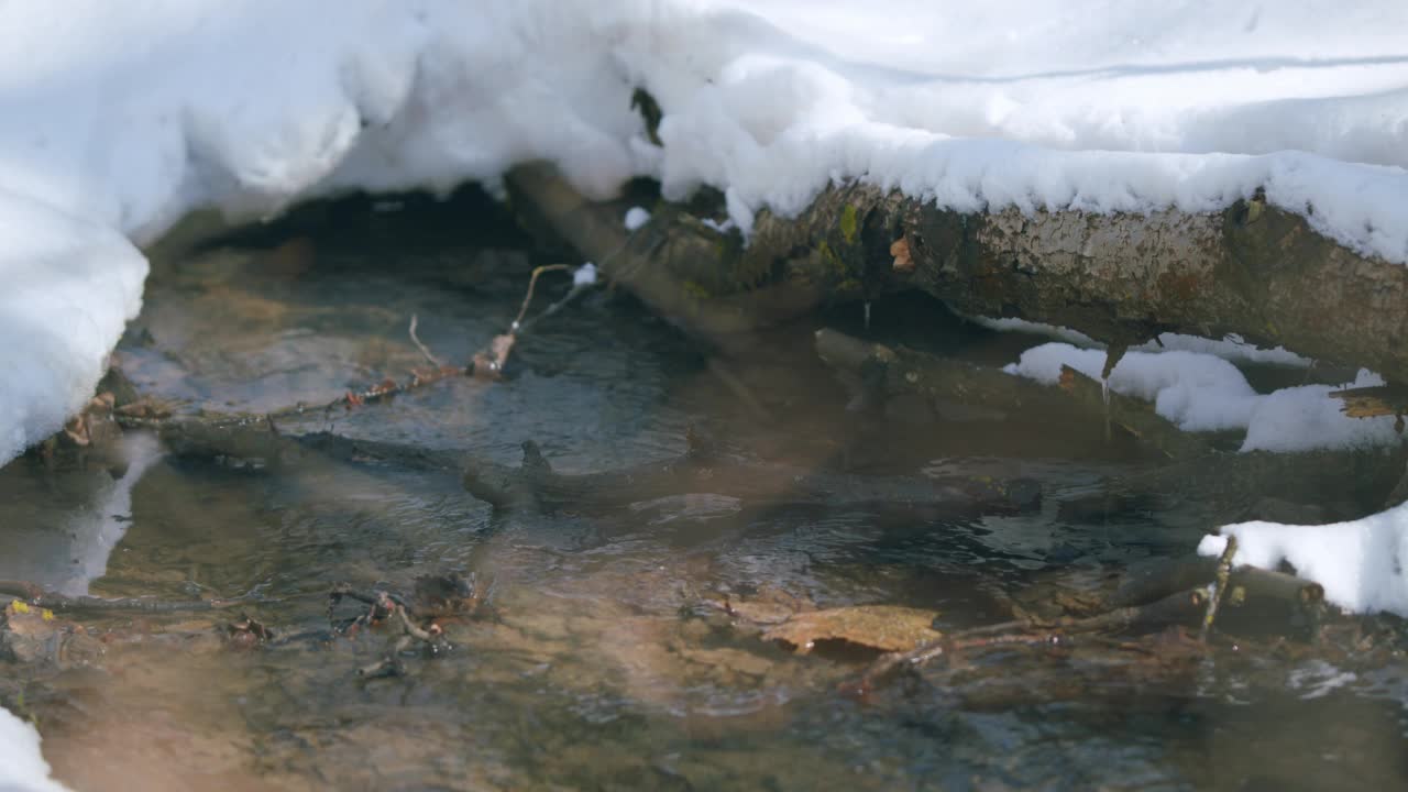 溪水质地清澈。河岸上有一些雪。视频素材