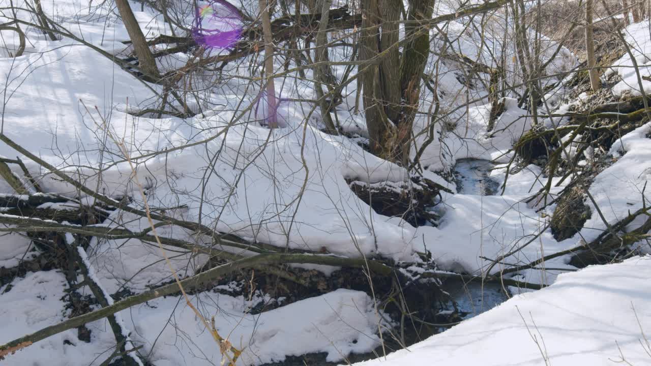 融化的雪水在森林里流动。野生自然森林。视频素材