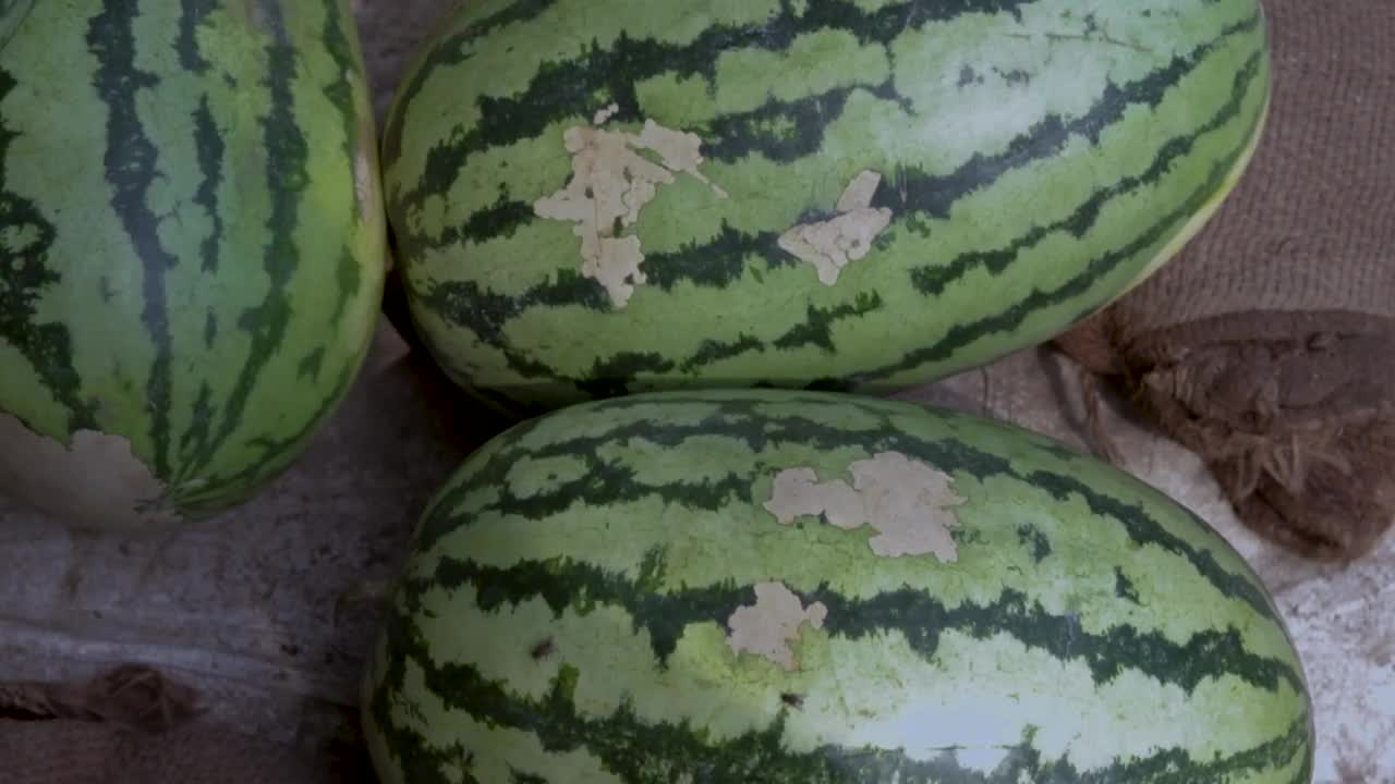 从不同角度拍摄的新鲜有机西瓜视频素材