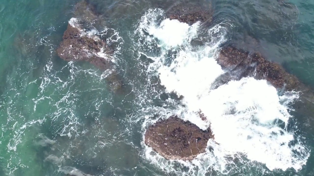 平面鸟瞰视频的海水与一组鱼在雅法特拉维夫的海滩前视频素材