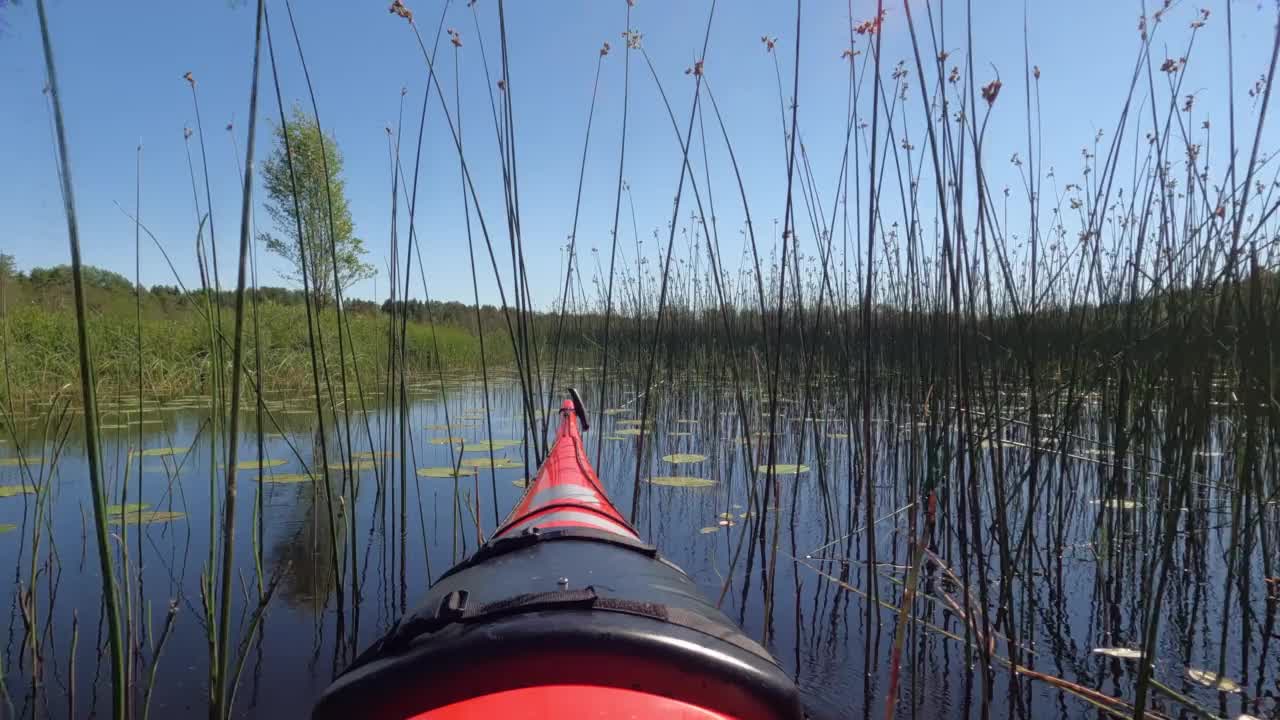 在瑞典的一个湖上划着独木舟，欣赏美丽的斯堪的纳维亚风景视频素材