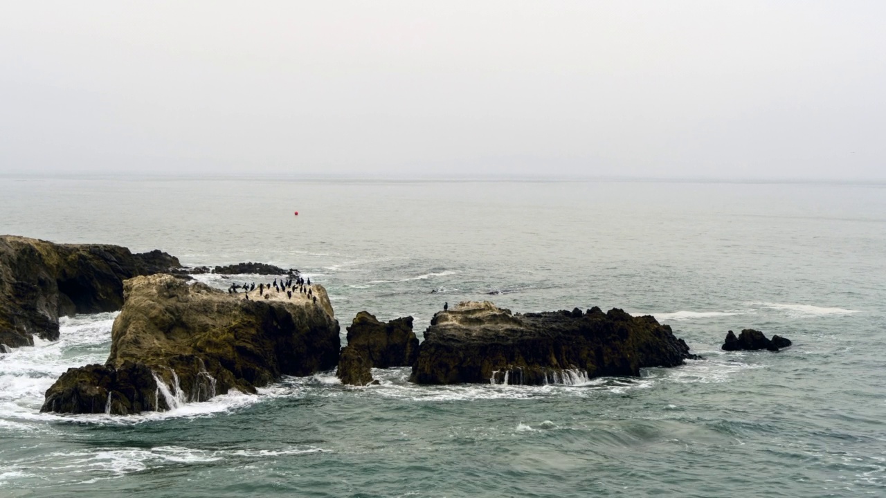 空中接近一群站在岩石海岸线上的海鸟，巨浪和暴风雨的天空-加州马里布视频素材