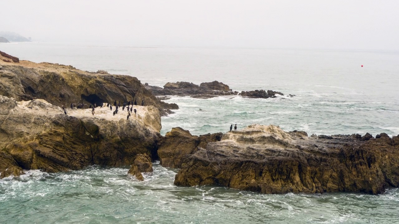 空中接近一群站在岩石海岸线上的海鸟，撞击的海浪和暴风雨的天空-加州马里布视频素材