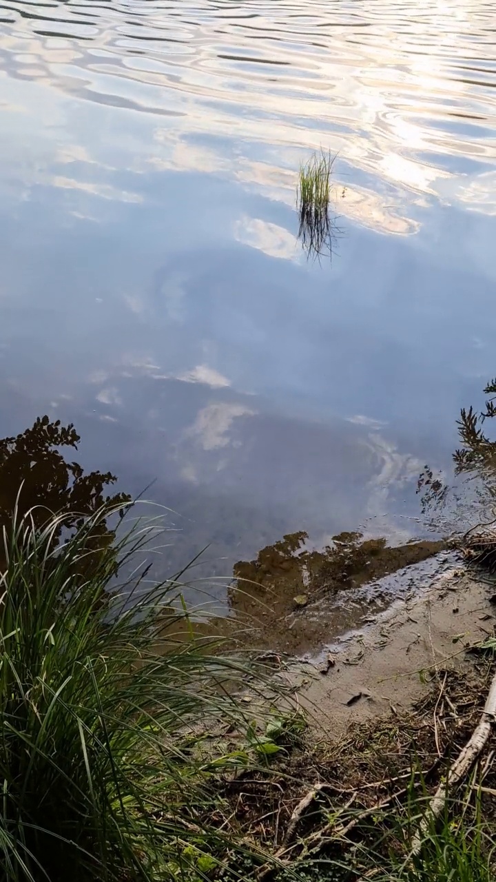 湖面反光的美丽风景视频素材