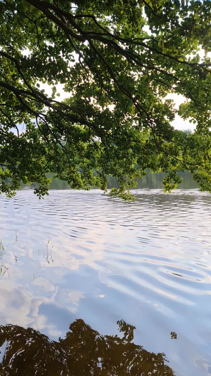 湖面反光的美丽风景视频素材