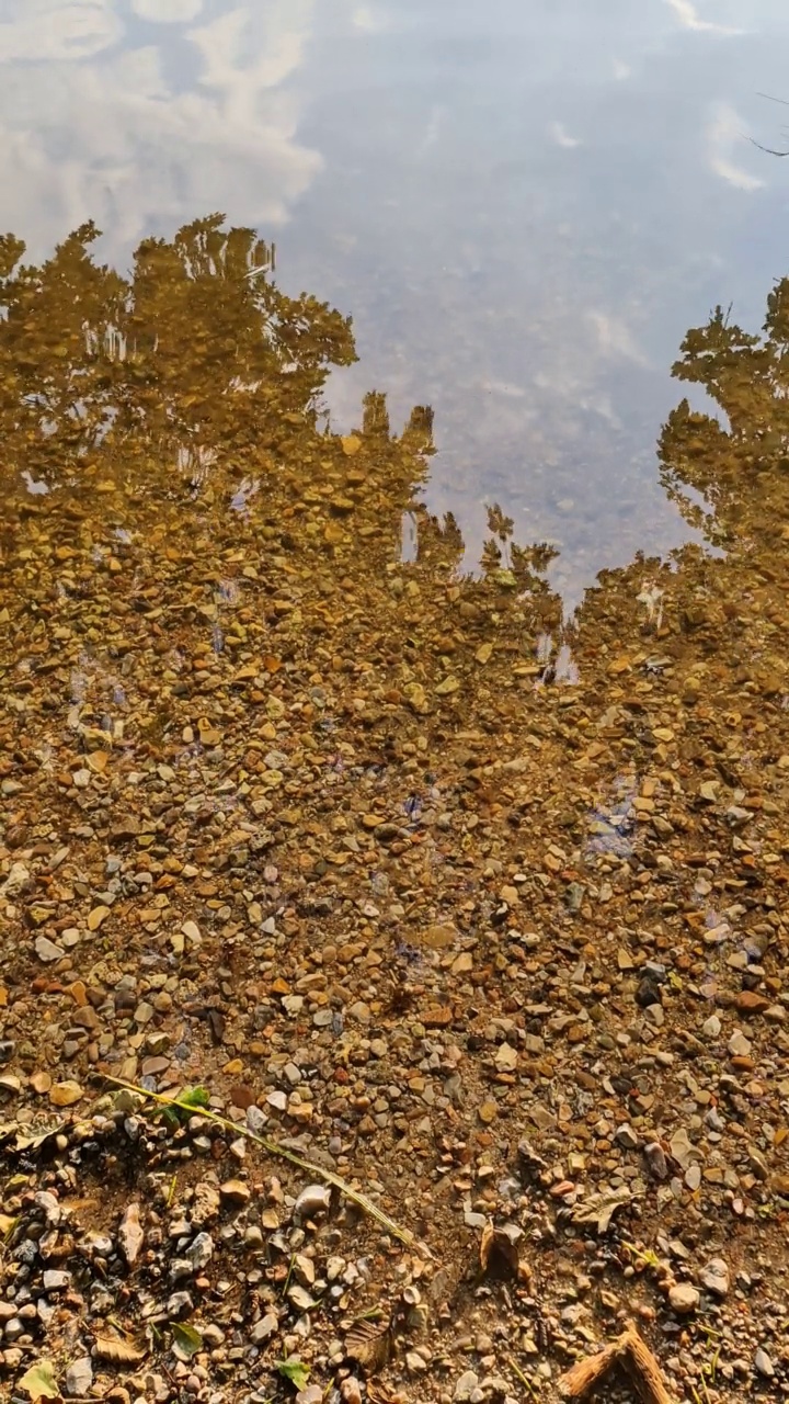 湖面反光的美丽风景视频素材