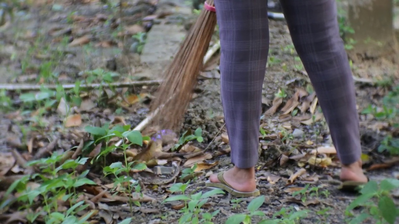 扫干树叶时，你可以看到椰子叶上的扫帚和女人的脚。视频下载