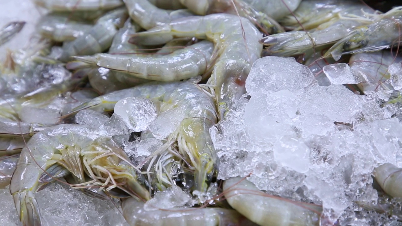 海鲜市场鲜虾摆盘角度。品质优良，新鲜使用
食品行业。超市里卖冰镇海虾。健康的
以人为本的饮食理念视频素材