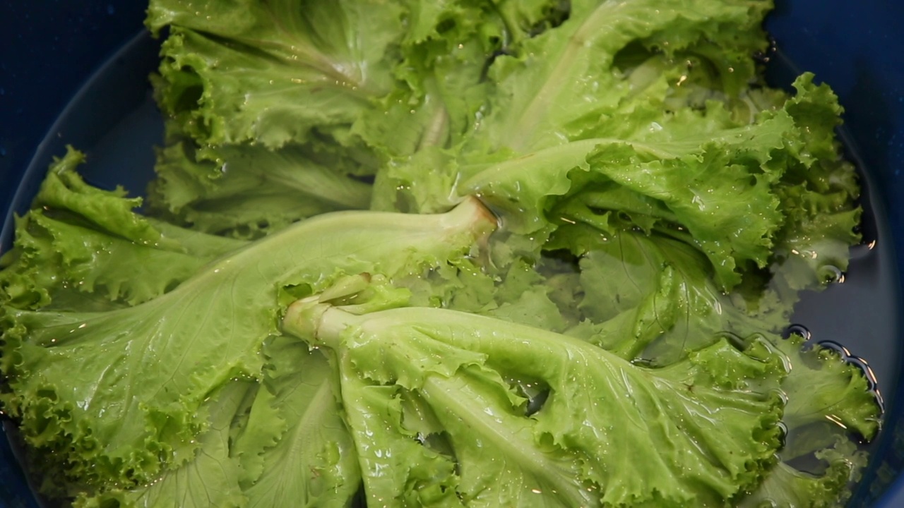 生菜在蓝色容器中浸泡水的俯视图。新鲜绿色有机
素食市场上的蔬菜。把蔬菜彻底洗净
来自农民的化学品和农药。视频素材