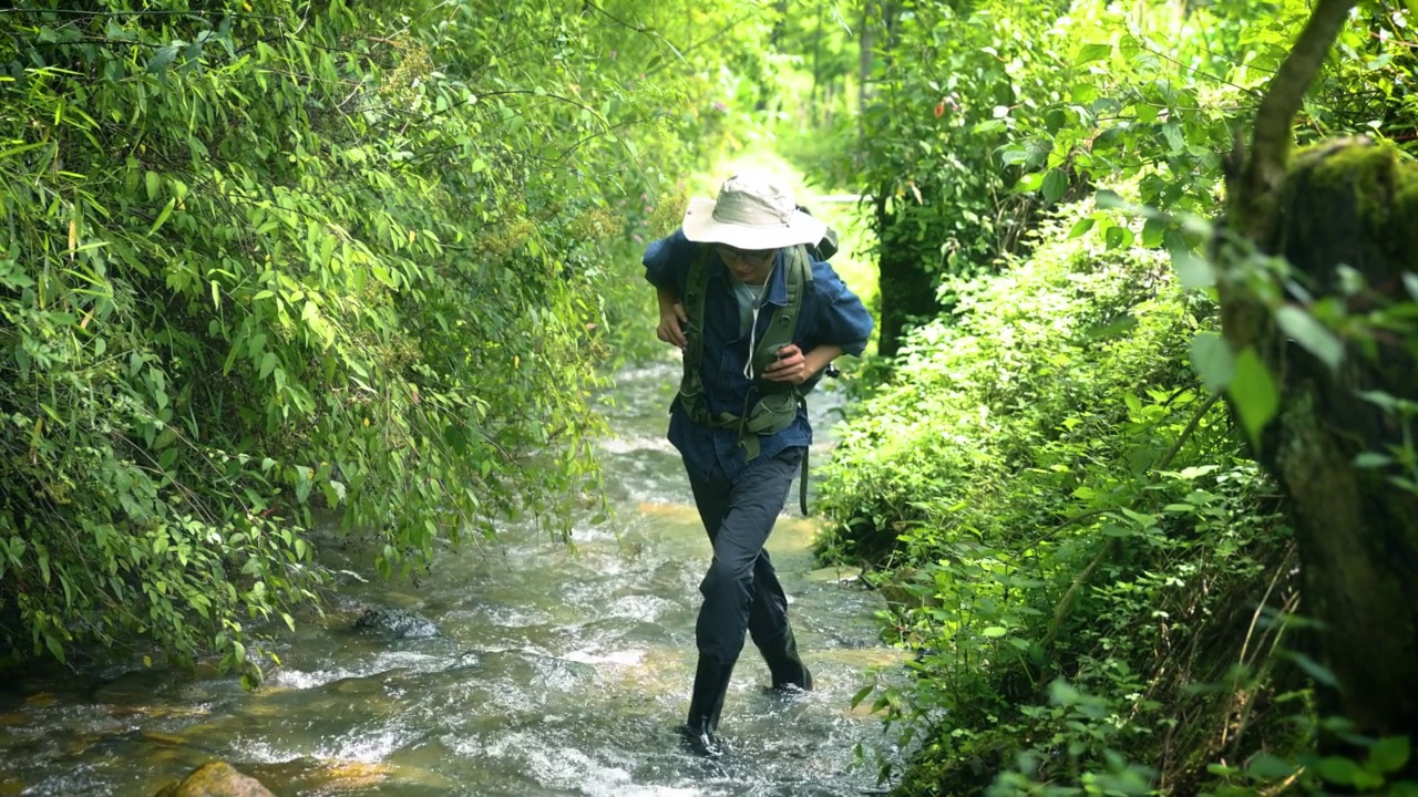 一名男性徒步旅行者正在穿越森林中的小溪视频素材