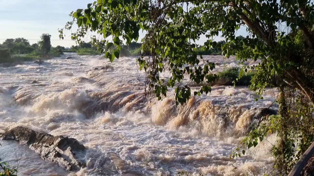 洪水的河流视频素材