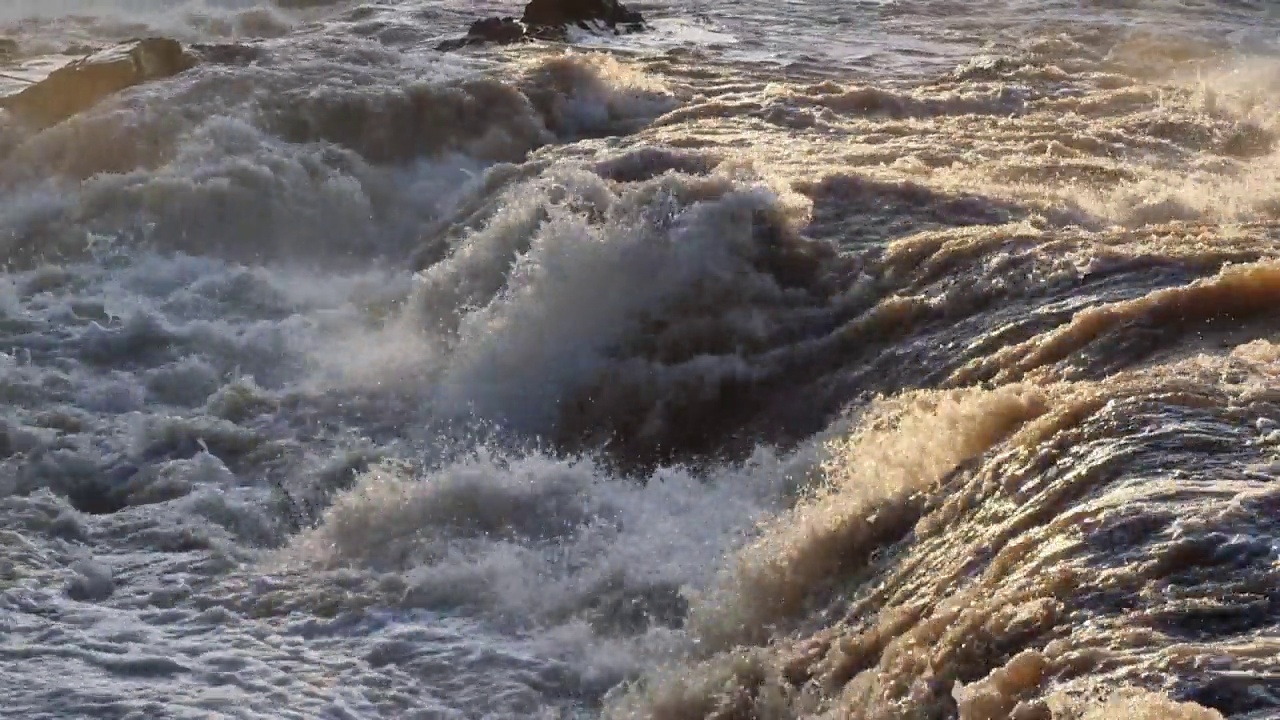 洪水的河流视频素材