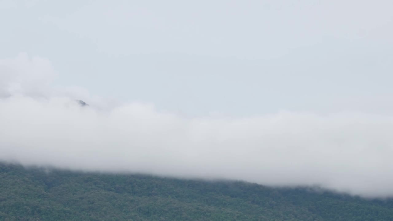 冬季时随森林在山间飘动的自然云雾视频素材