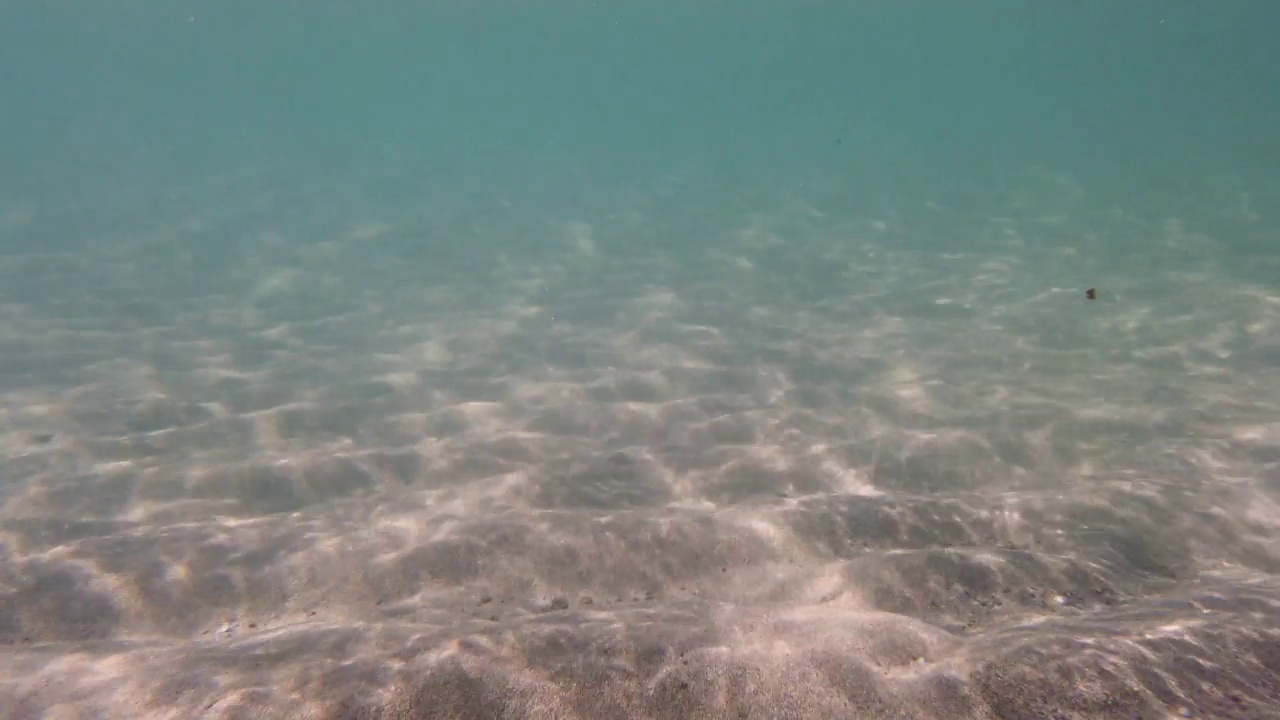 夏季清澈的海面和水下景色视频素材