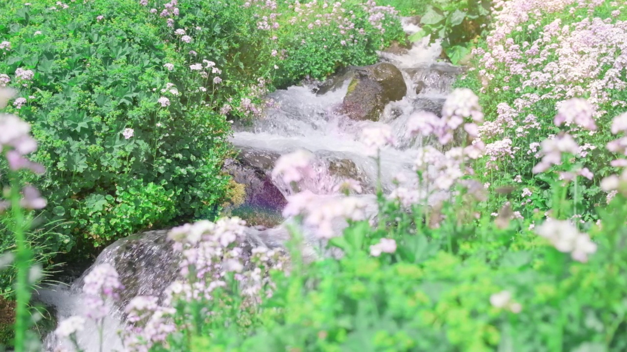 山间小溪流淌着清澈纯净的河水，从高加索山区流下视频素材