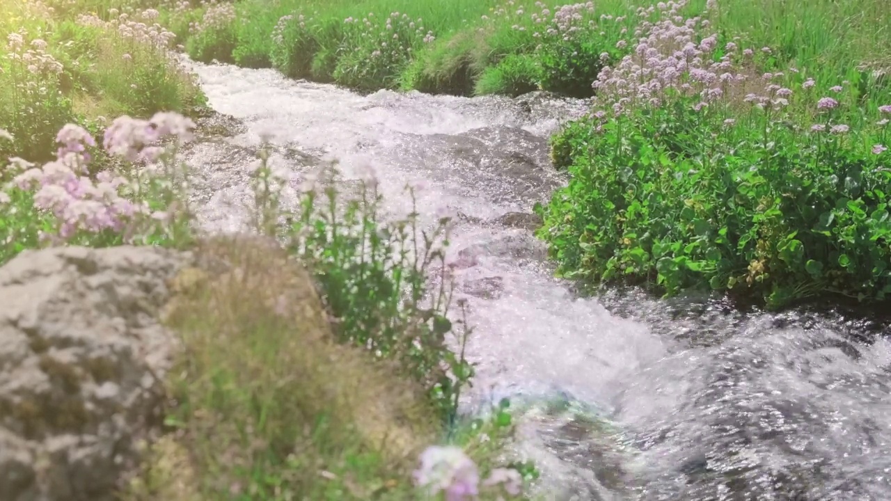 山间溪水的慢动作视频，清澈纯净的河水视频素材