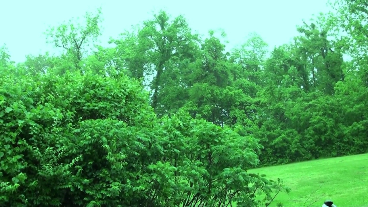 天然热带雨林，雨带闪电视频素材