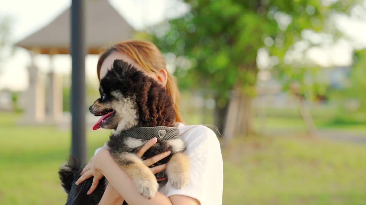 快乐的年轻亚洲女人在公园里玩，抱着她的狗。宠物情人的概念视频素材