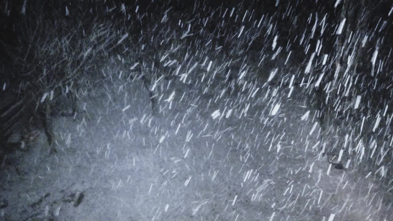 冬天的森林夜里下大雪。视频素材