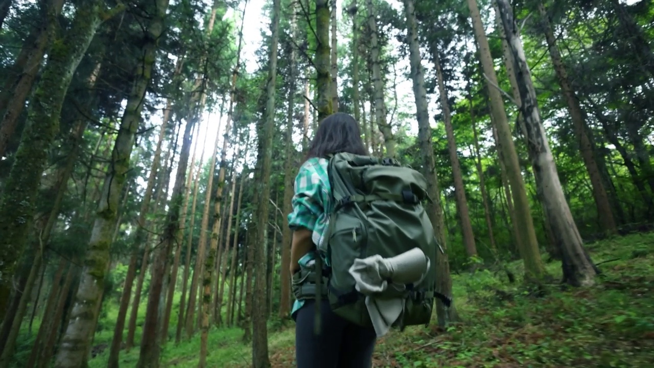 年轻女子在林地徒步旅行视频素材