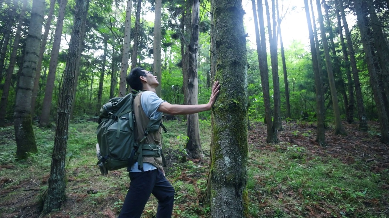 一个人在山林中徒步旅行视频素材