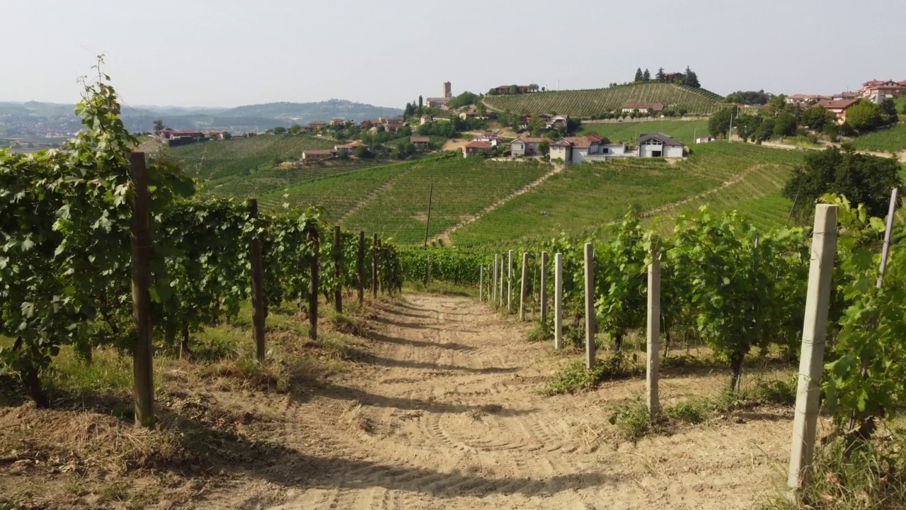 葡萄园农业在Barbaresco Asti鸟瞰图Langhe Monferrato，皮埃蒙特视频素材