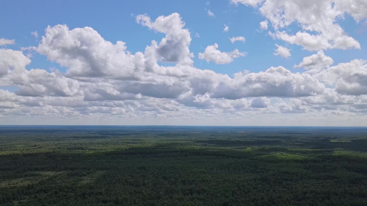 蓝天的全景，云在绿色的树的顶部。蓝天白云柔和。白云的背景。视频下载