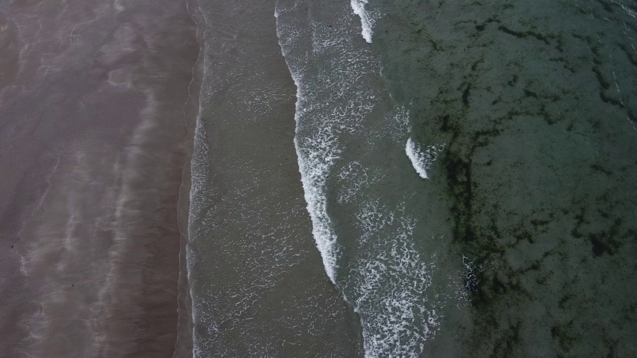 大西洋的潮汐波和美丽的沙滩，来自顶部的视频。海水中的绿藻。北大西洋凉爽的海岸。海景。视频素材