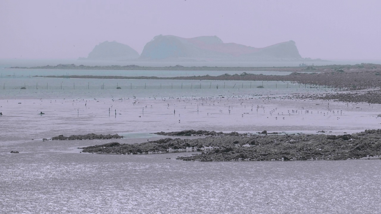 DMZ(非军事区)-退潮时的海景，在龟岛/韩国视频素材