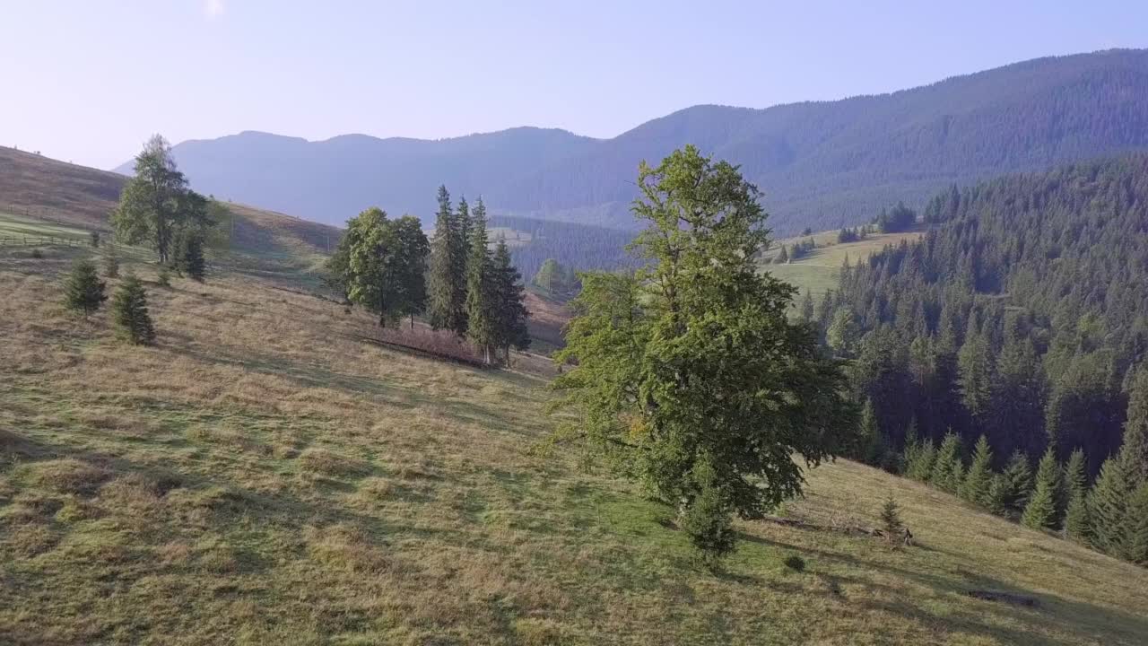 乌克兰喀尔巴阡山脉的山脉和牧场。鸟瞰图视频素材