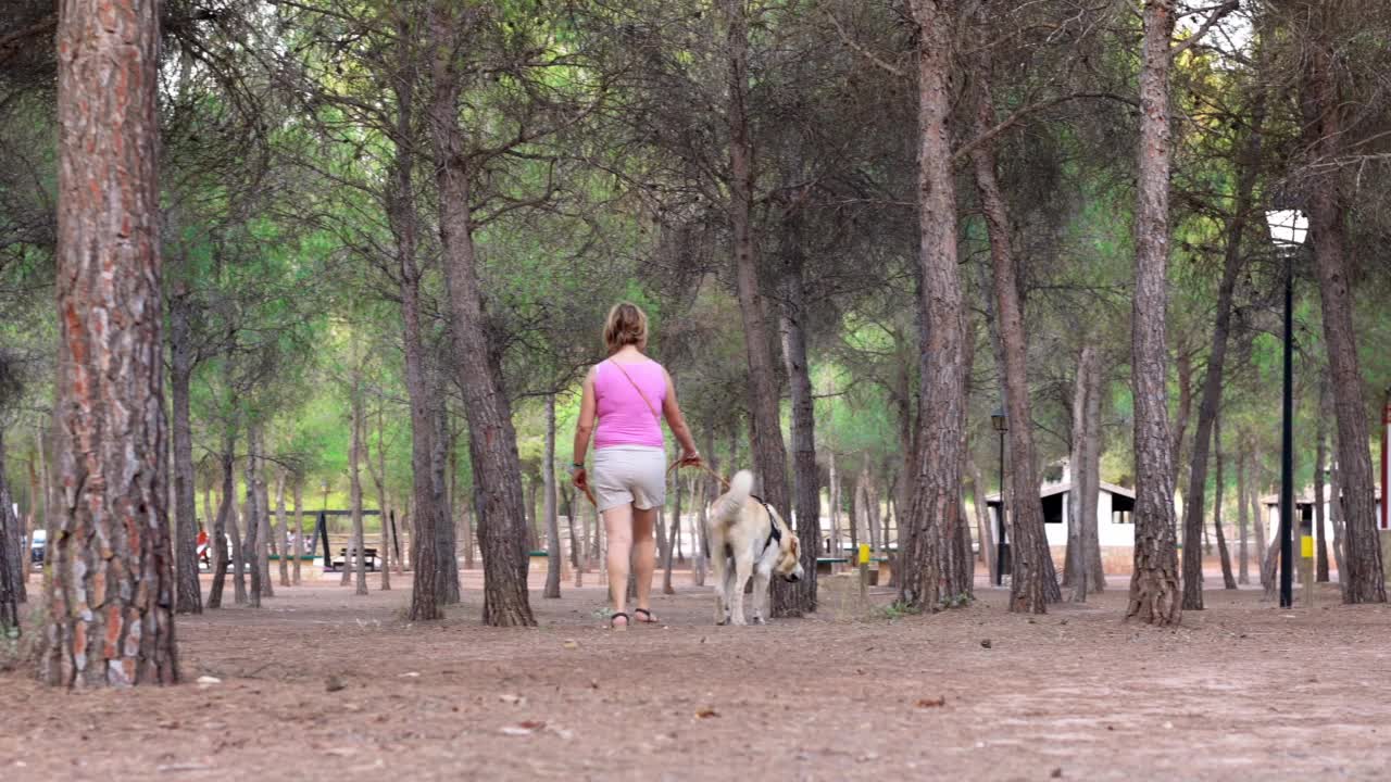 一个女人带着她的狗在森林里散步视频素材