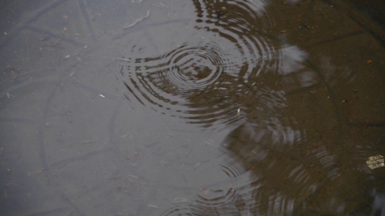 雨点落在下水道的水坑上视频素材