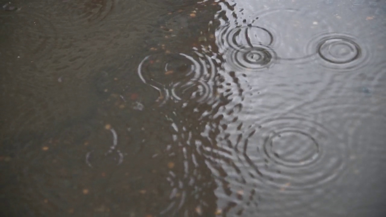 下雨时骑自行车的人在水坑里反思视频素材