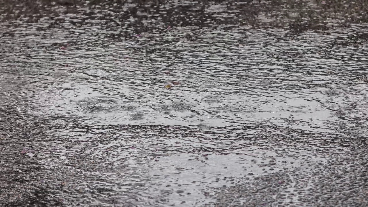 夏天或秋天的雨水落在沥青上视频素材