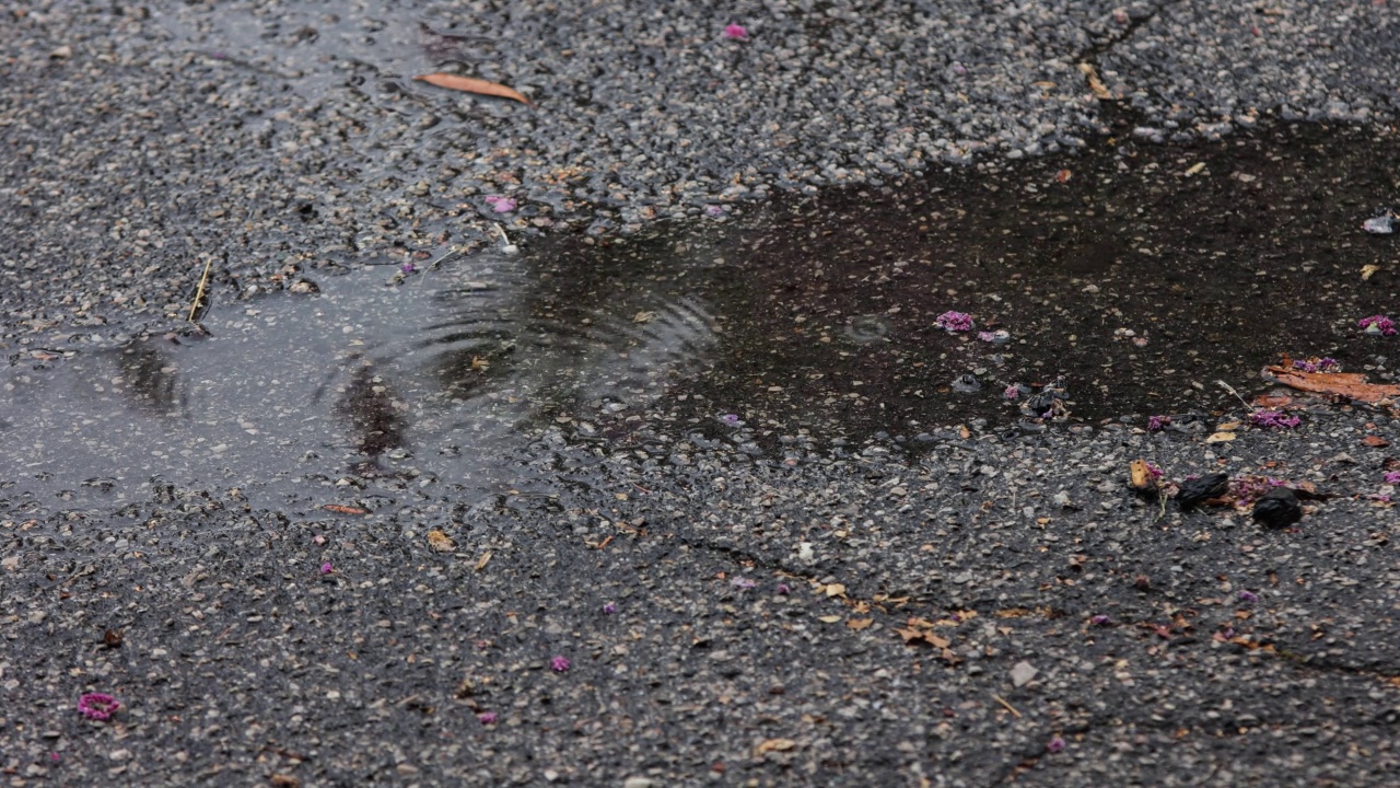 夏天或秋天的雨水落在沥青上视频素材