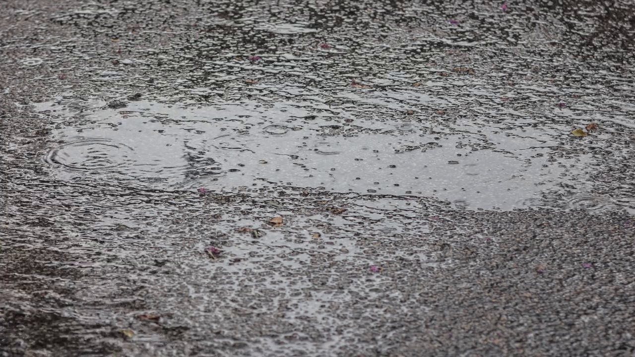 夏天或秋天的雨水落在沥青上视频素材