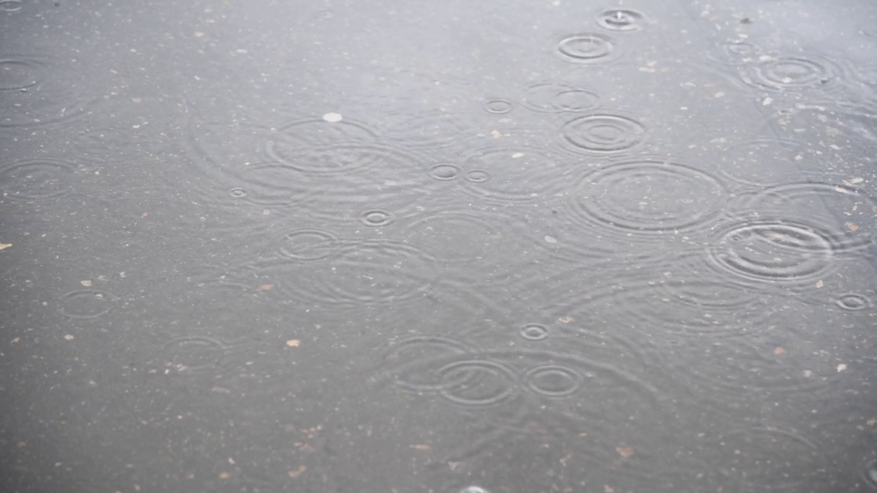 雨滴落在水坑上视频素材