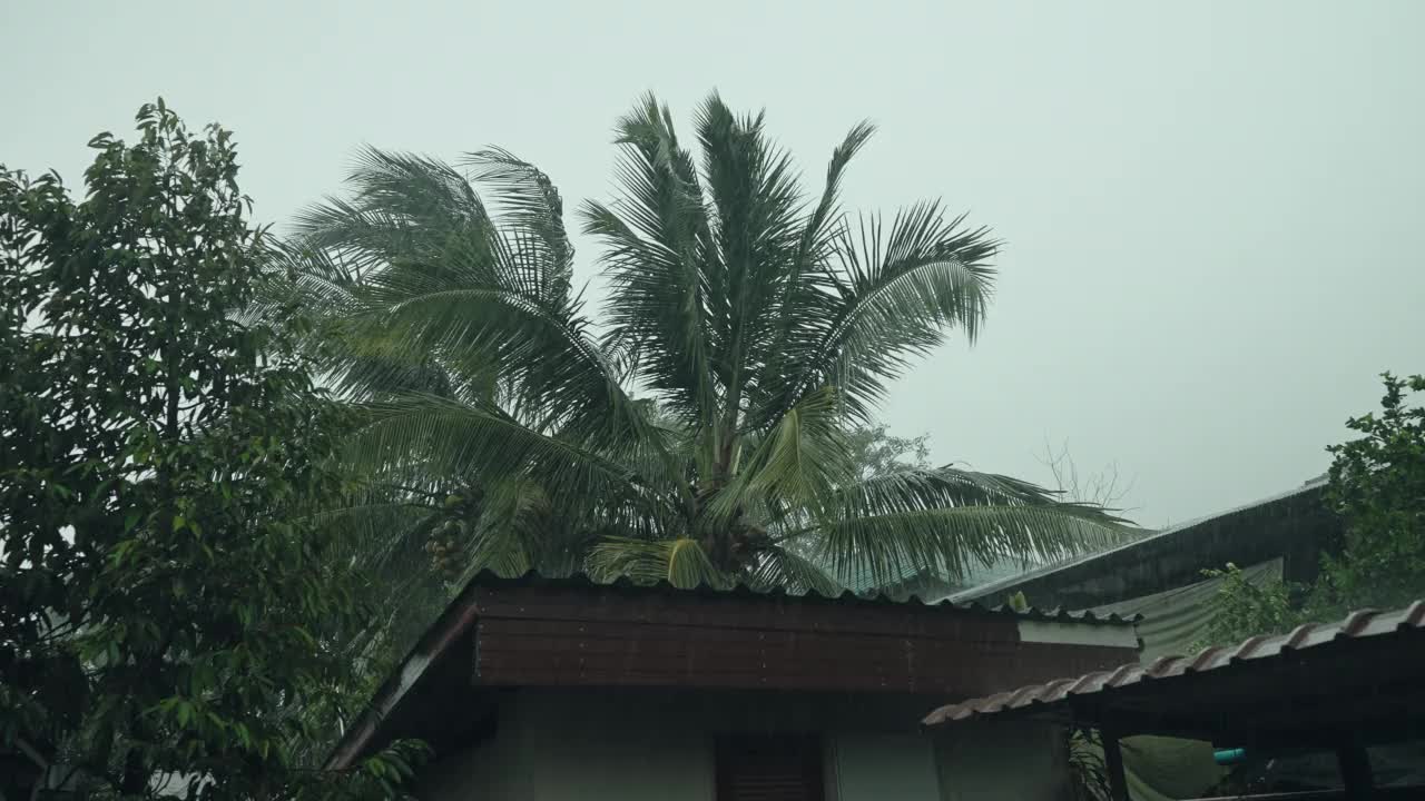 暴雨极端天气和气候与全球变暖视频素材