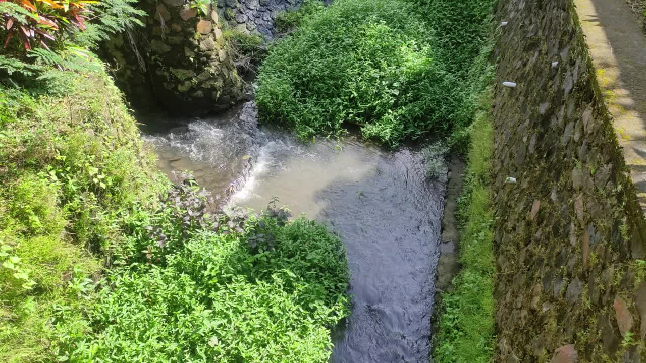 清洁的水在乡村沟渠的边缘流动。美丽的绿色的大自然。视频素材