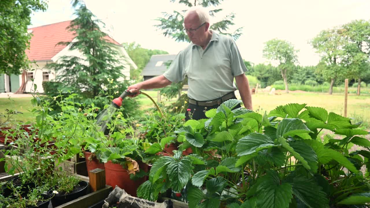 活跃在花园的高年级学生视频素材