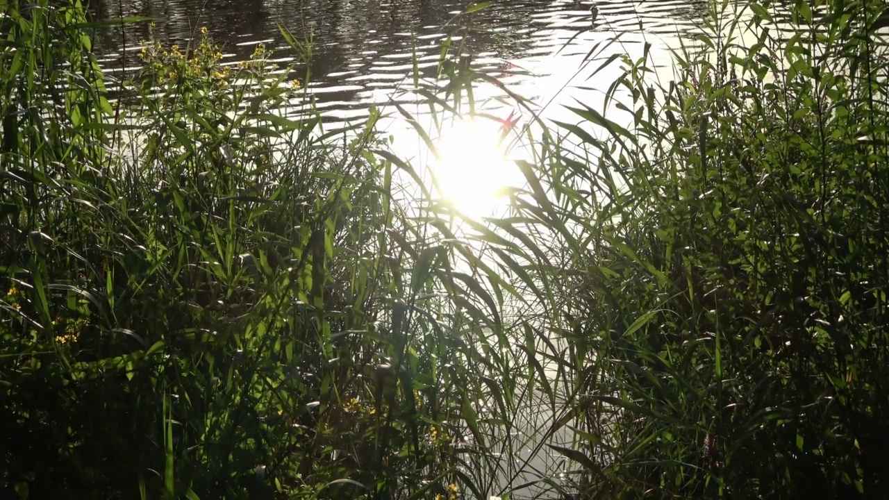 湖面反光的美丽风景视频素材